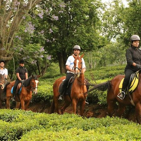 Willow Hill By Nature Resorts And Stays Ooty Eksteriør bilde
